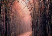 山东体育学院举办“用爱奔跑 点亮星梦”公益马拉松全国校园联跑活动.