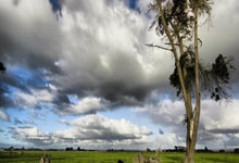 罗德里成功夺得2024年金球奖 首位获此奖90后球员.