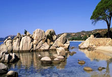 欧博：势不可挡，皇家贝蒂斯豪取西甲联赛五连胜.